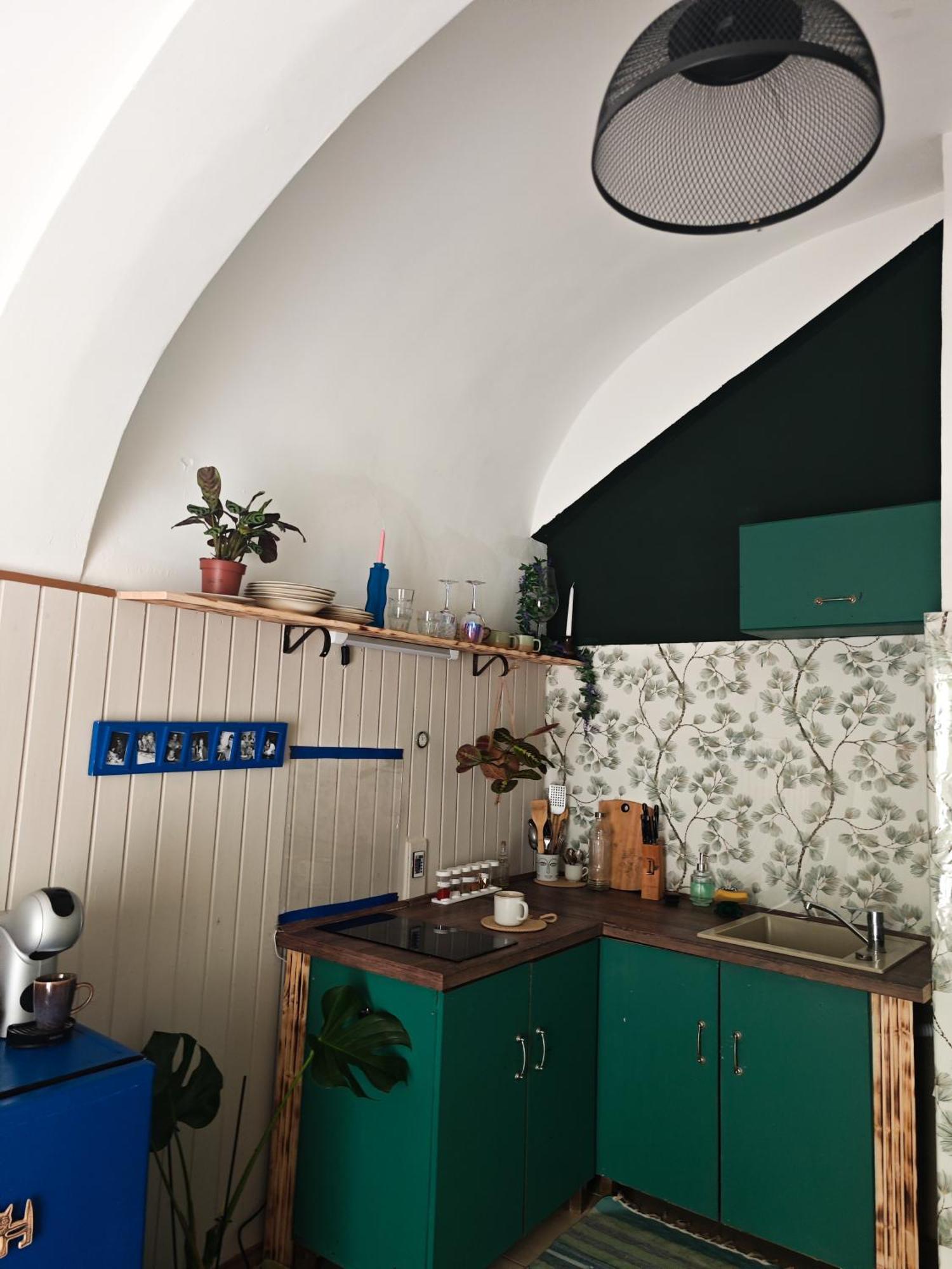 Vintage Room With Garden View Братислава Екстериор снимка