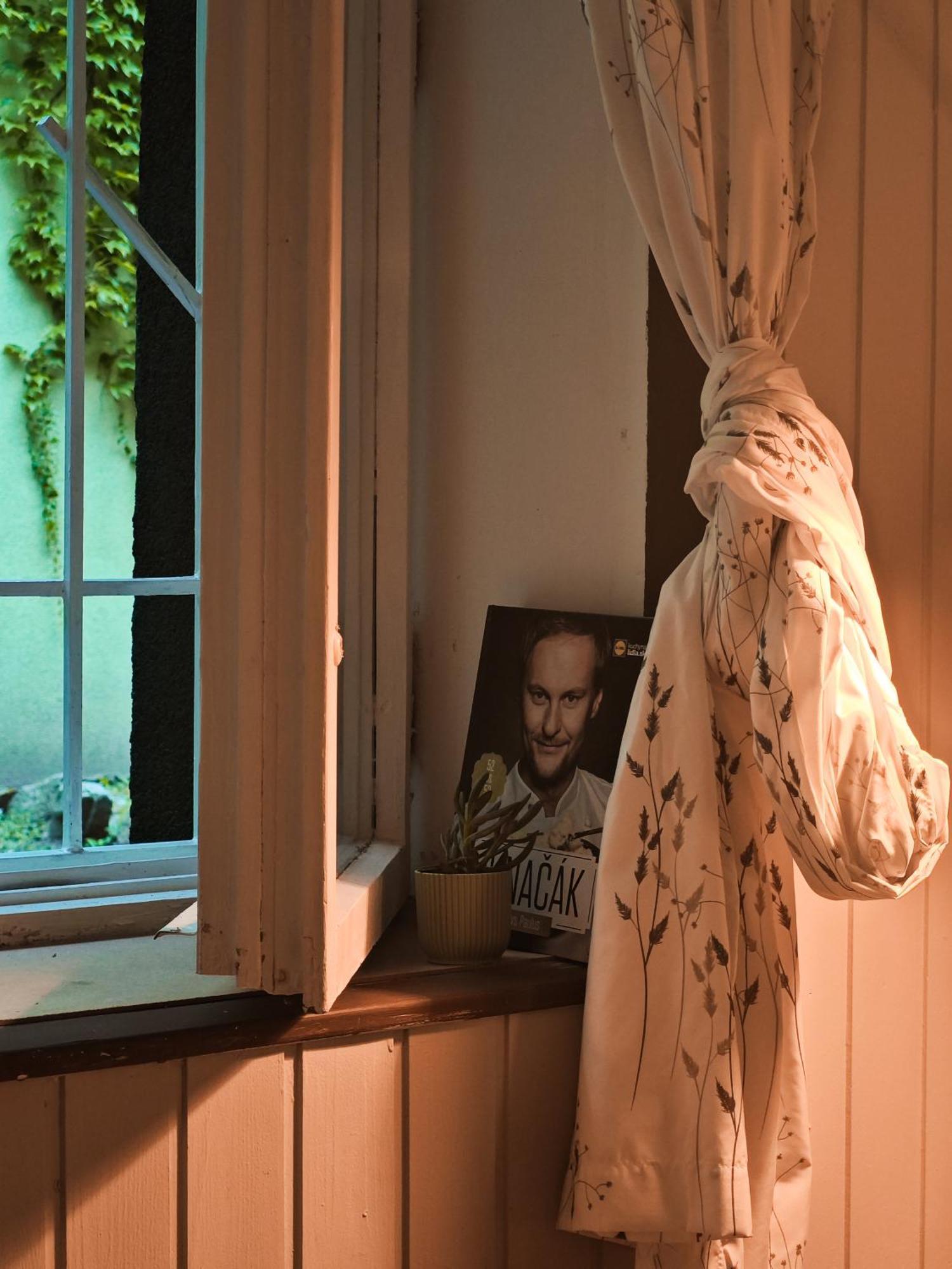 Vintage Room With Garden View Братислава Екстериор снимка