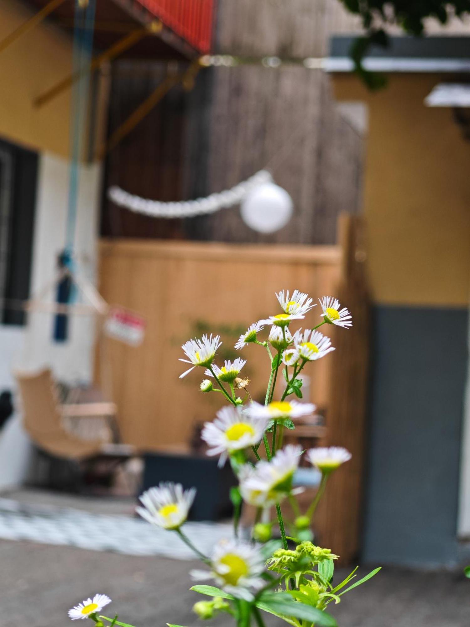 Vintage Room With Garden View Братислава Екстериор снимка
