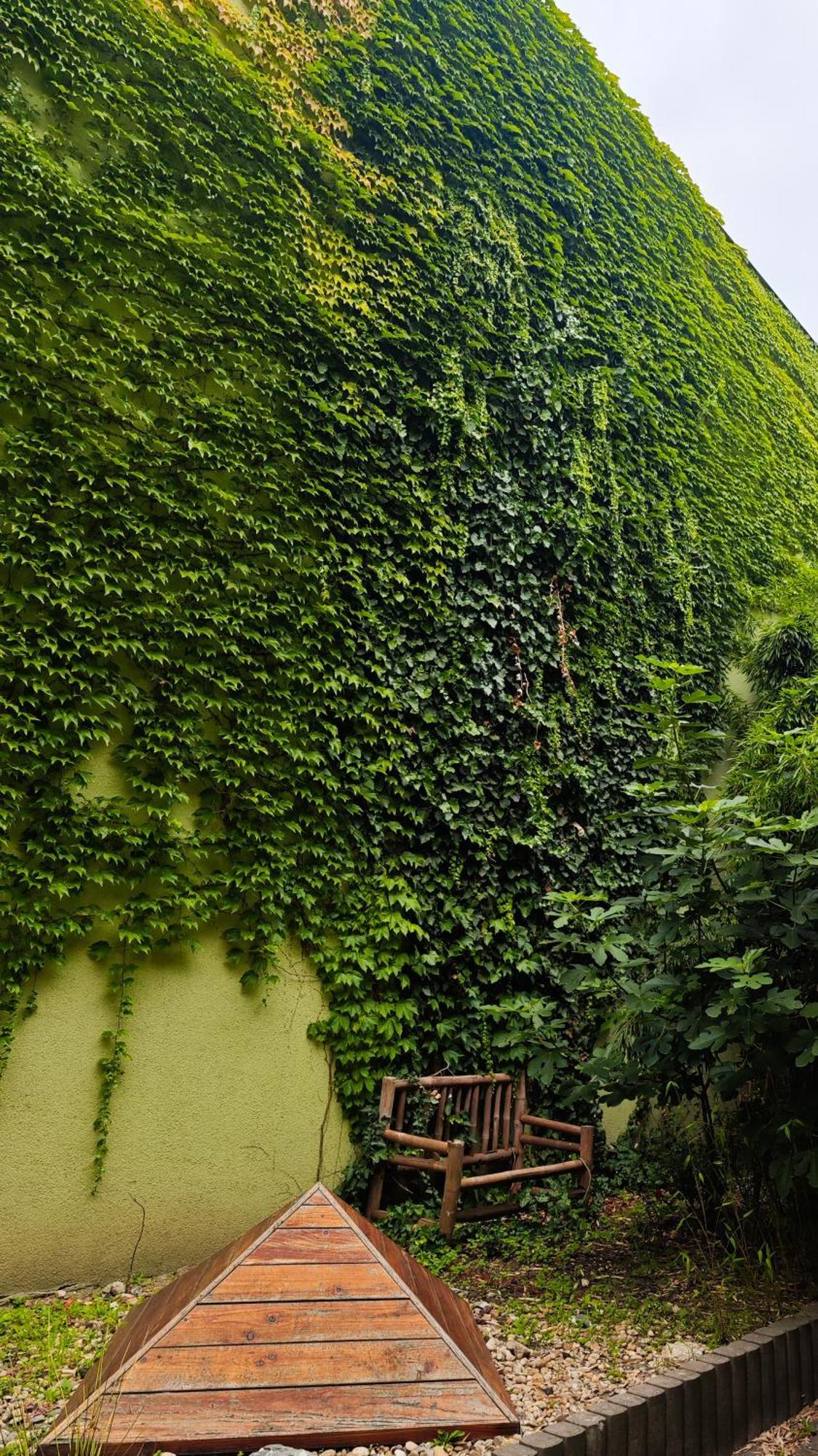 Vintage Room With Garden View Братислава Екстериор снимка